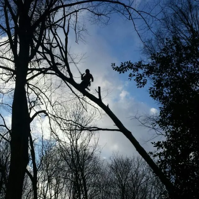 Baumarbeiten im Wohnbereich