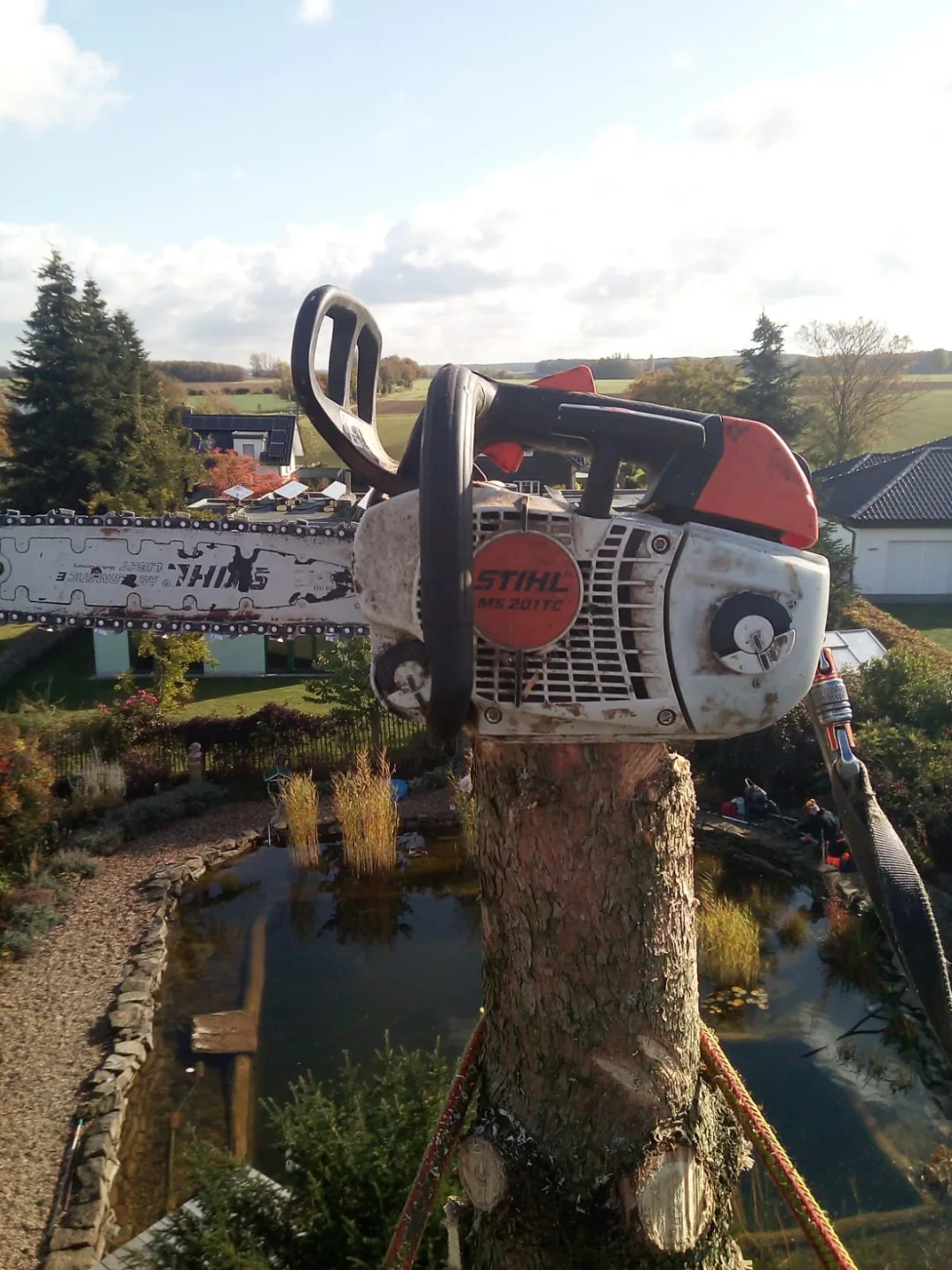 Motorsäge im Einsatz bei Baumarbeiten